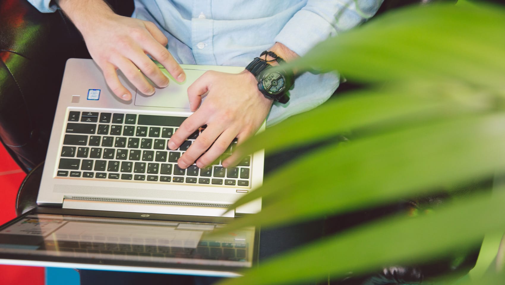 Man on laptop next to a plant